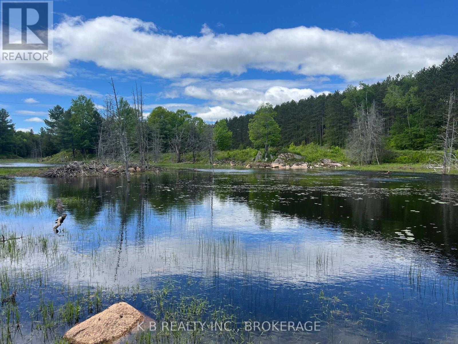 2970 Mountain Road, Stone Mills, Ontario  K0K 1Z0 - Photo 15 - X13416522