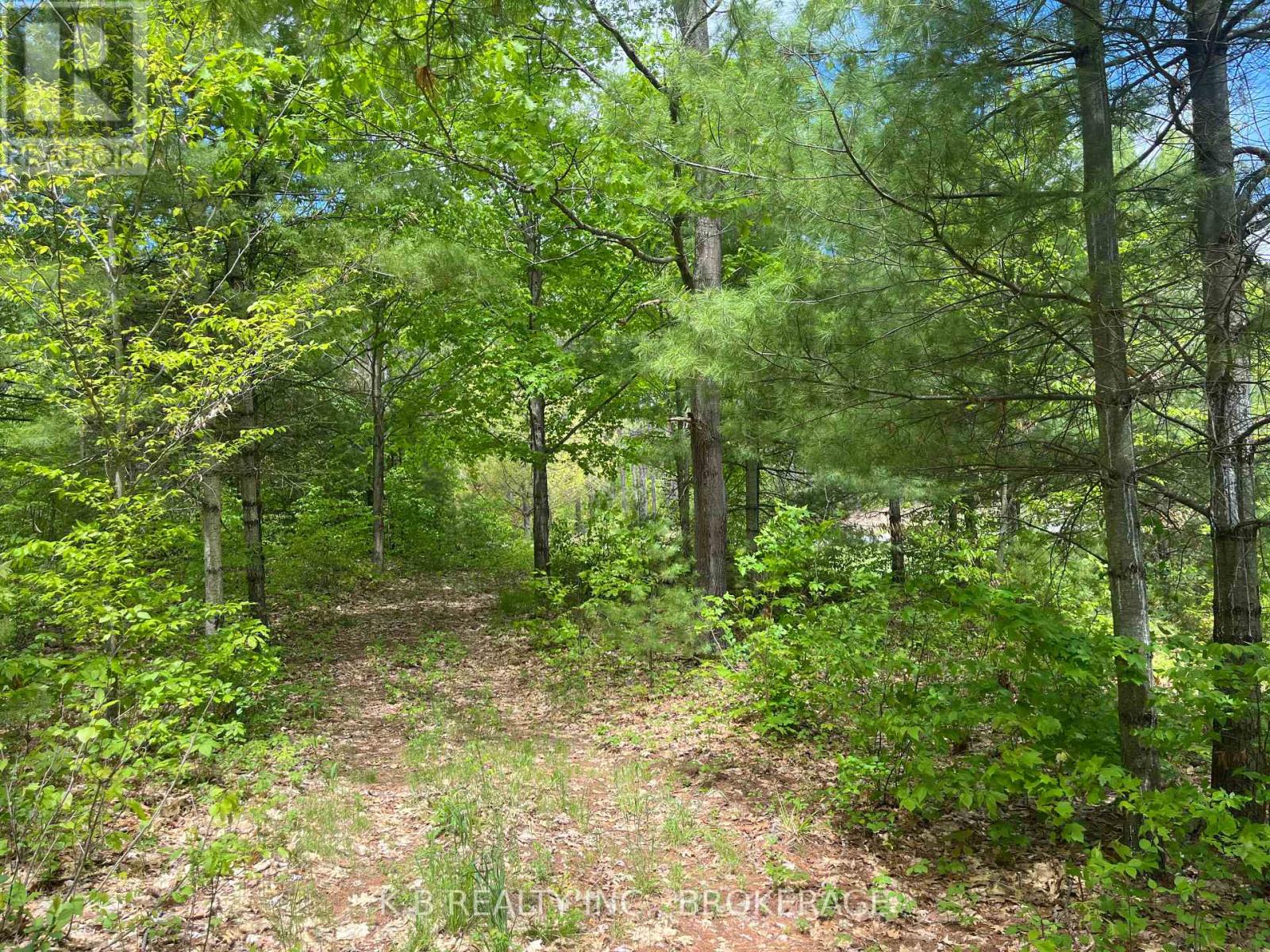 2970 Mountain Road, Stone Mills, Ontario  K0K 1Z0 - Photo 12 - X13416522