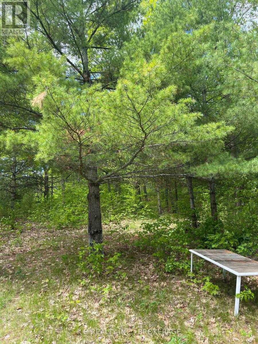 2970 Mountain Road, Stone Mills, Ontario  K0K 1Z0 - Photo 11 - X13416522