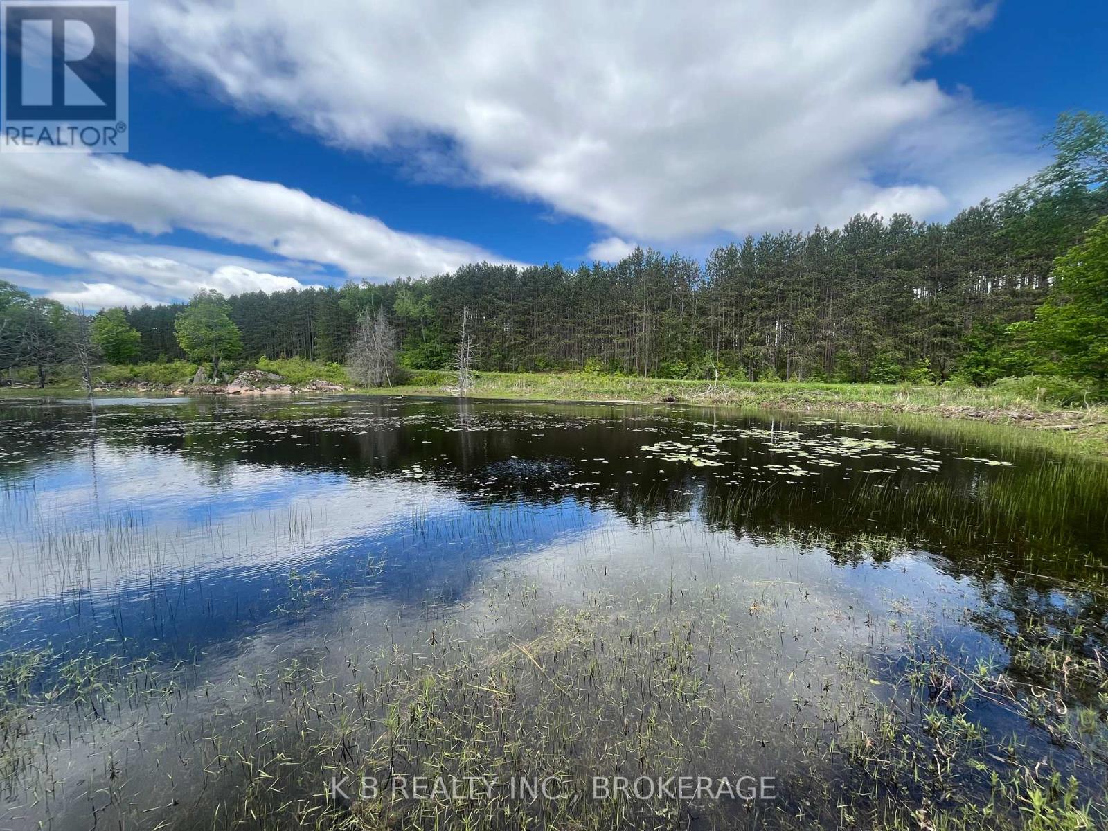 2970 Mountain Road, Stone Mills, Ontario  K0K 1Z0 - Photo 14 - X13416522
