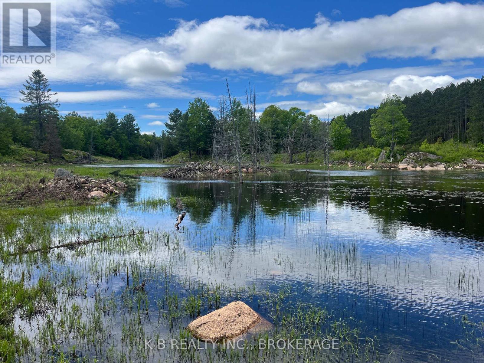 2970 Mountain Road, Stone Mills, Ontario  K0K 1Z0 - Photo 16 - X13416522