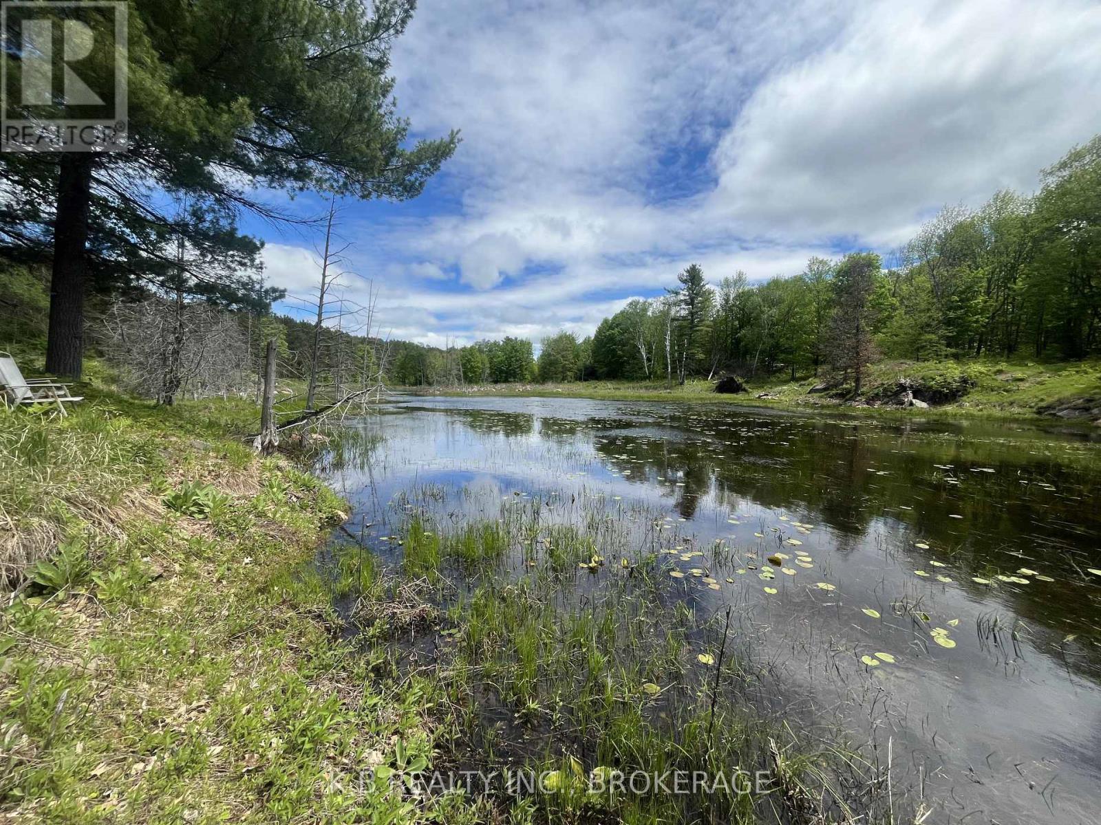 2970 Mountain Road, Stone Mills, Ontario  K0K 1Z0 - Photo 5 - X13416522