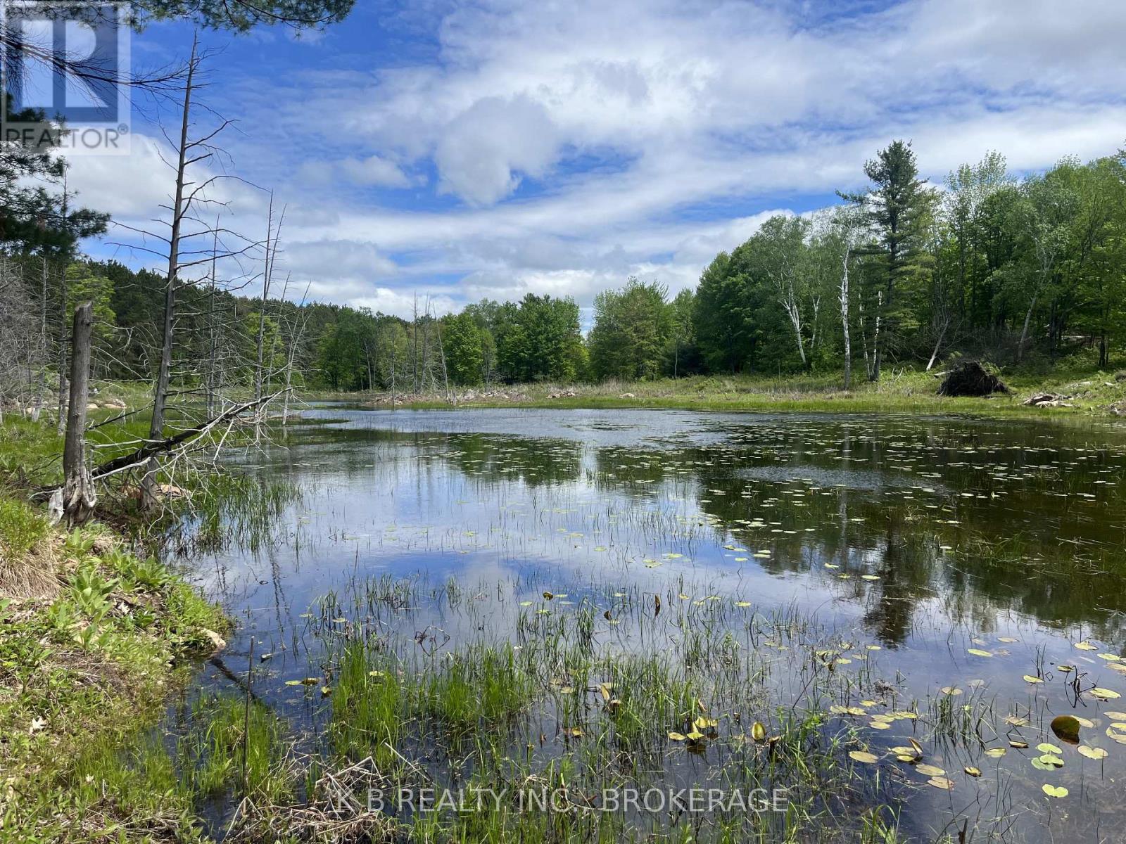 2970 Mountain Road, Stone Mills, Ontario  K0K 1Z0 - Photo 4 - X13416522