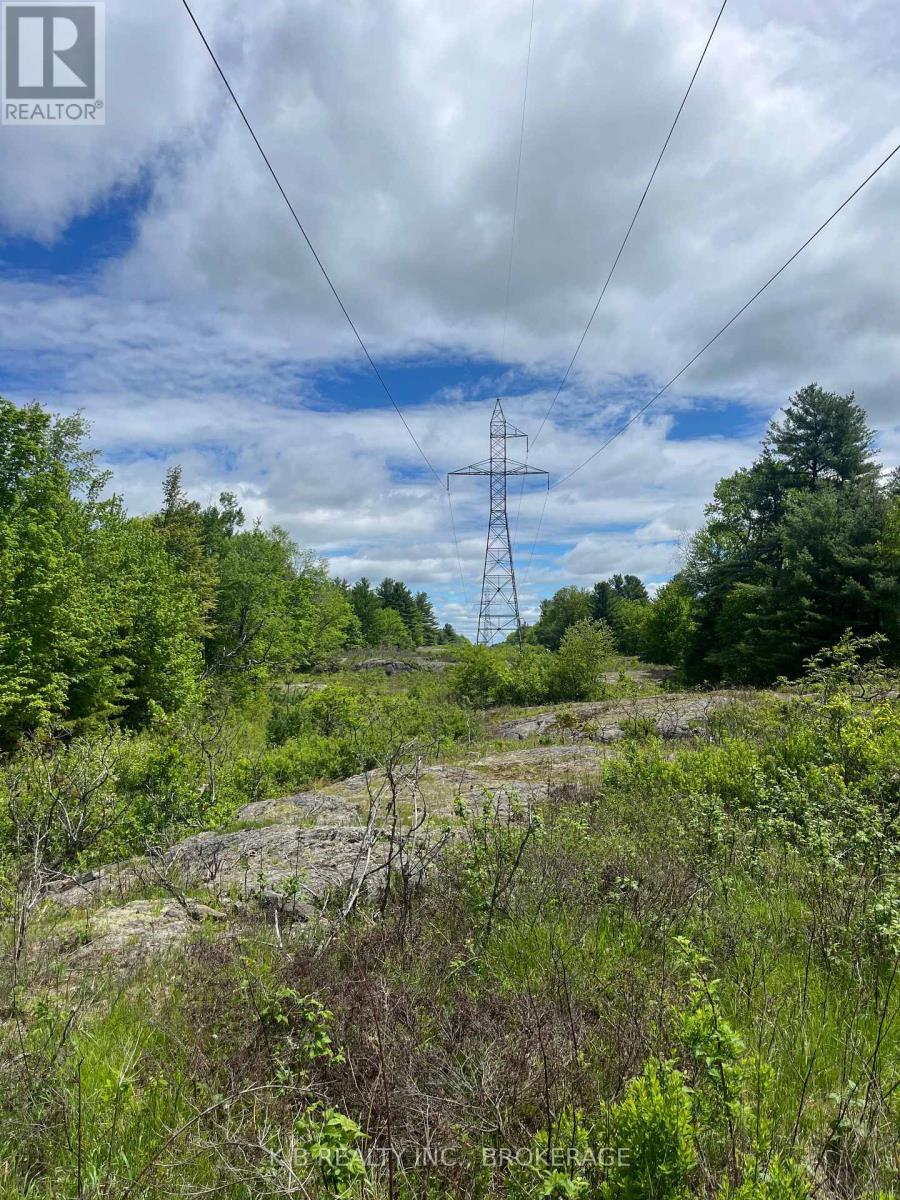2970 Mountain Road, Stone Mills, Ontario  K0K 1Z0 - Photo 17 - X13416522