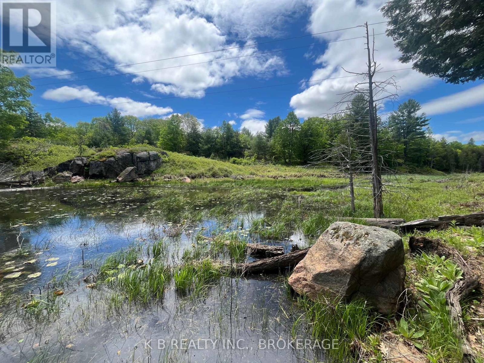 2970 Mountain Road, Stone Mills, Ontario  K0K 1Z0 - Photo 7 - X13416522