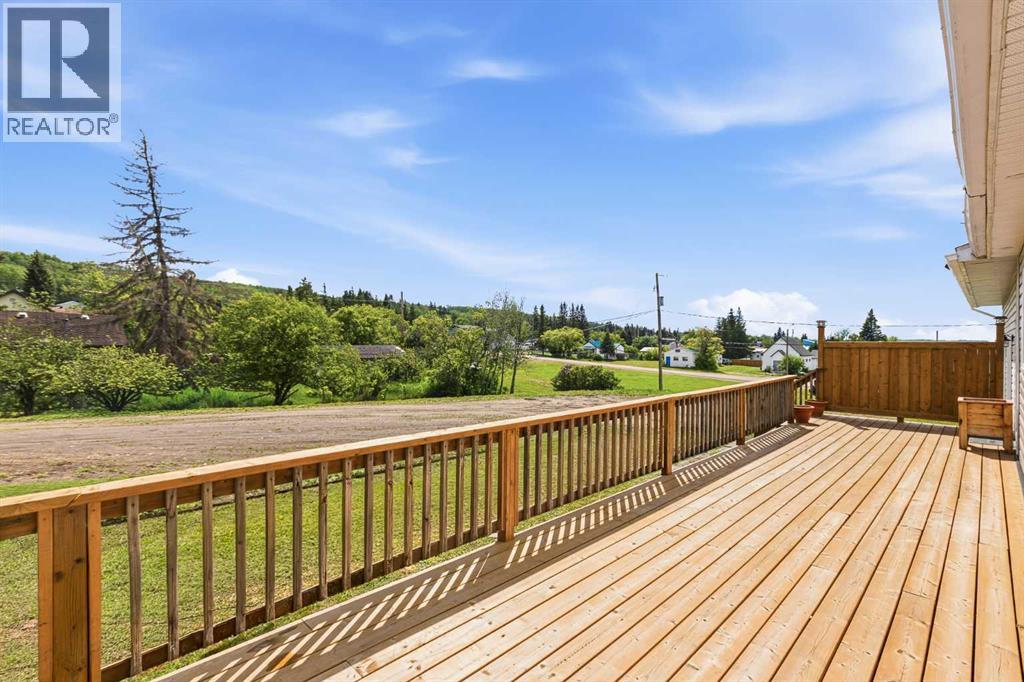 110 1st Avenue, Paradise Hill, Saskatchewan  S0M 2G0 - Photo 33 - A2319352