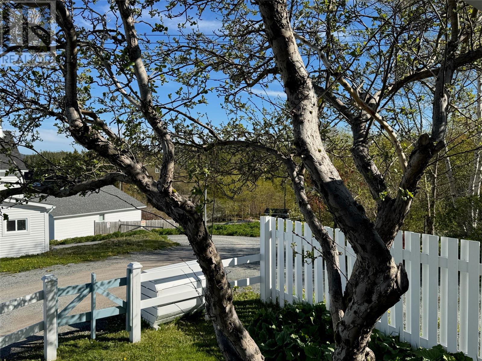 9 Loop Road, Happy Adventure, Newfoundland & Labrador  A0G 1Z0 - Photo 35 - 1298853