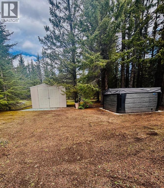 32351 Range Road 55, Rural Mountain View County, Alberta  T0M 1X0 - Photo 7 - A2318924
