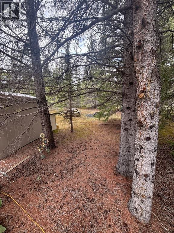 32351 Range Road 55, Rural Mountain View County, Alberta  T0M 1X0 - Photo 11 - A2318924