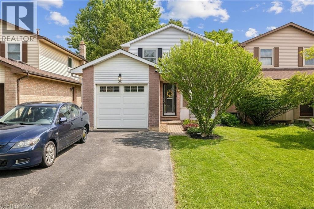 36 BRAEHEID Avenue, Waterdown, Ontario