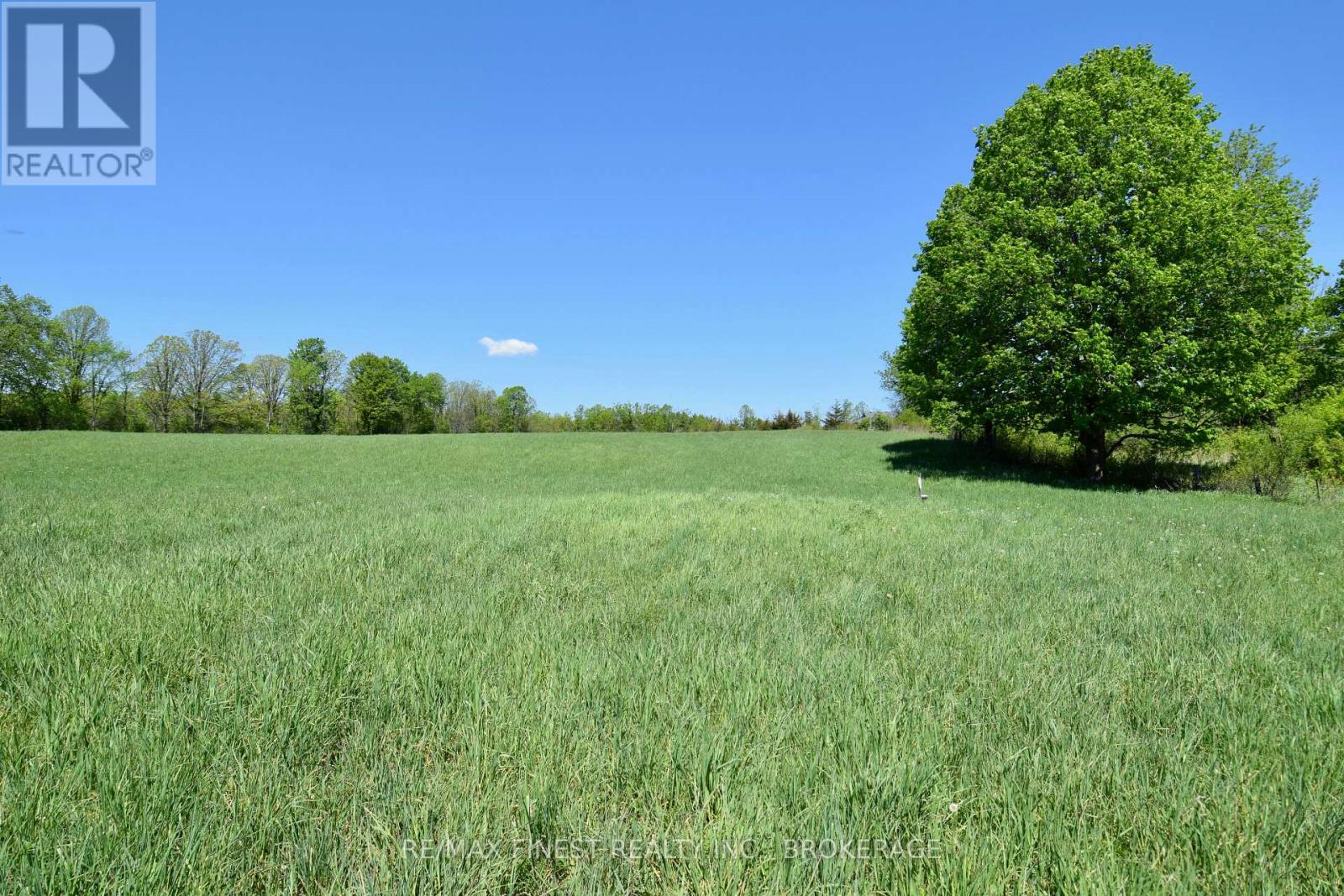 1005 County Road 14, Stone Mills, Ontario K0K 1Z0 - Photo 3 - X13437170