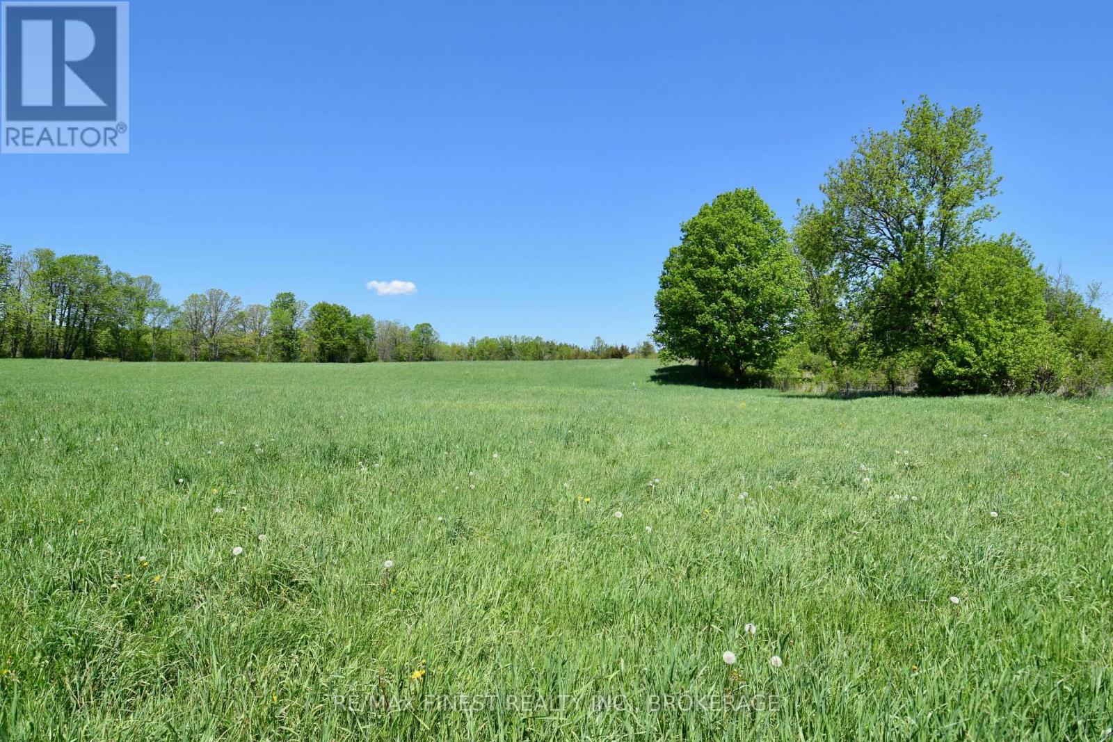 1005 County Road 14, Stone Mills, Ontario K0K 1Z0 - Photo 4 - X13437170