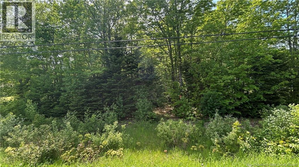 LOT Route 135, trudel, New Brunswick
