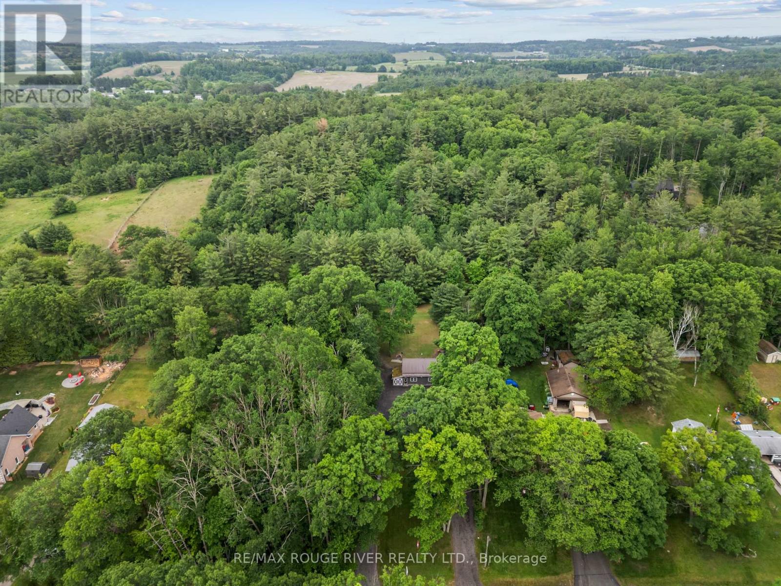 7123 Poplar Drive, Hamilton Township, Ontario  K0L 1E0 - Photo 48 - X13436960