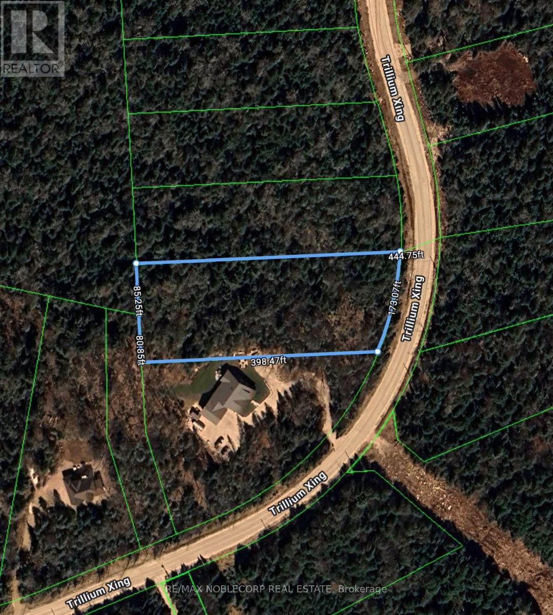 42 Trillium Crossing, Northern Bruce Peninsula, Ontario  N0H 1W0 - Photo 10 - X13436962