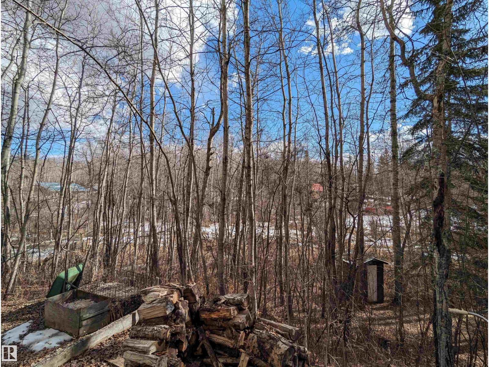163 5415 Twp Rd 594, Rural Barrhead County, Alberta  T7N 1N2 - Photo 33 - E4492291