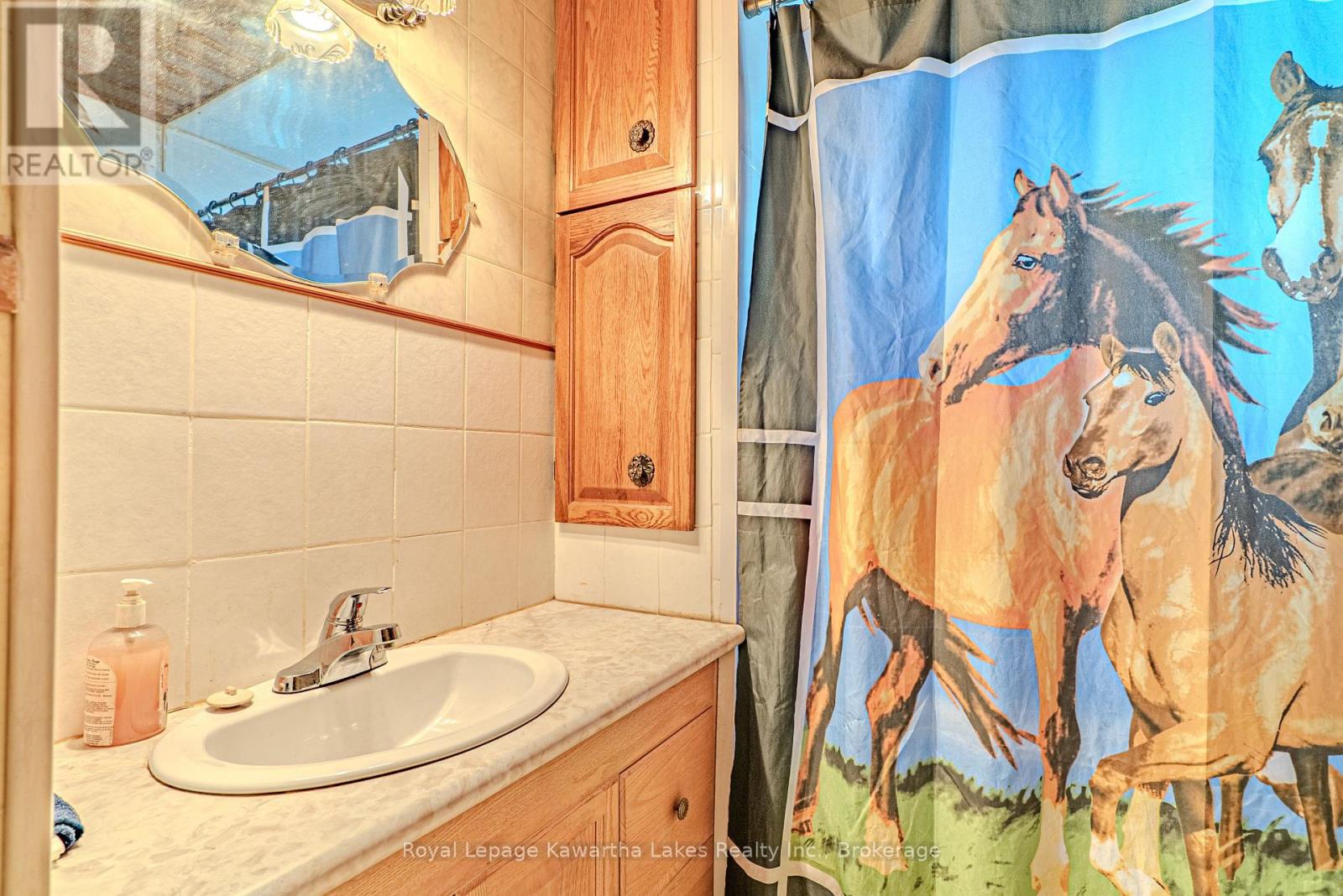 244 Annis Street, Oshawa, Ontario  L1H 3P4 - Photo 16 - E13437932