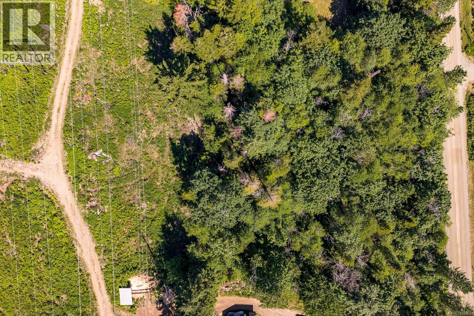Lot 14 Country Rd, Fanny Bay, British Columbia  V0R 1W0 - Photo 6 - 1038897