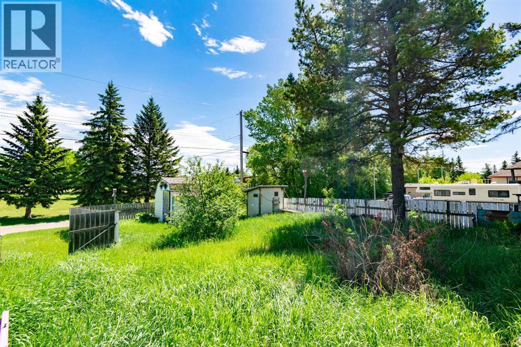 5107 52 Street, Mirror, Alberta  T0B 3C0 - Photo 48 - A2319353