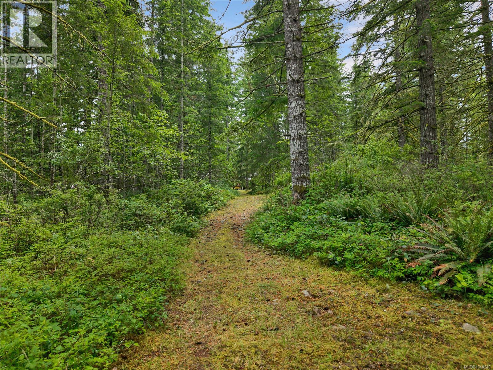 4040 York Rd, Campbell River, British Columbia  V9H 1B3 - Photo 63 - 1040249