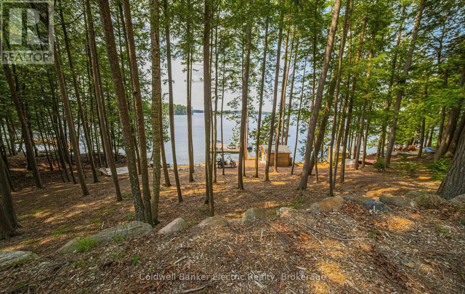 555 Fire 50 Route, North Kawartha, Ontario  K0L 1A0 - Photo 16 - X13436878