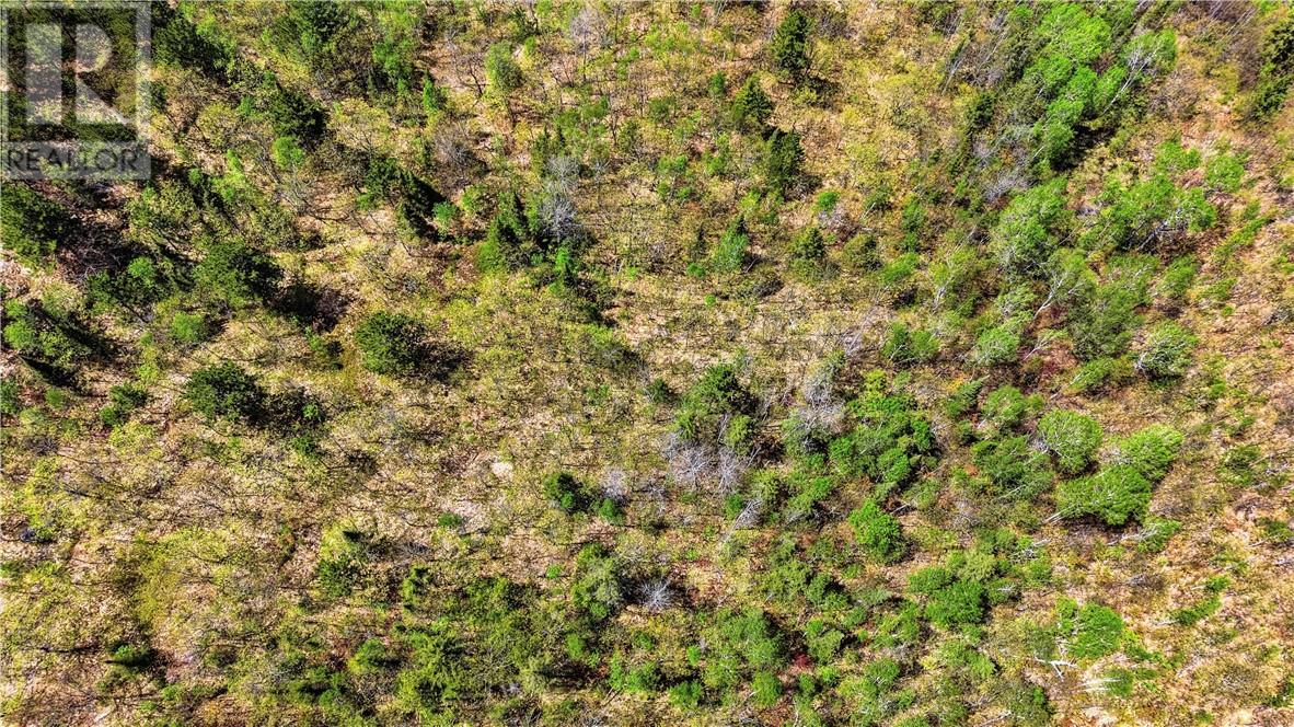 Lot 1 Makada Road, Lively, Ontario  P3Y 1H8 - Photo 5 - 2127803