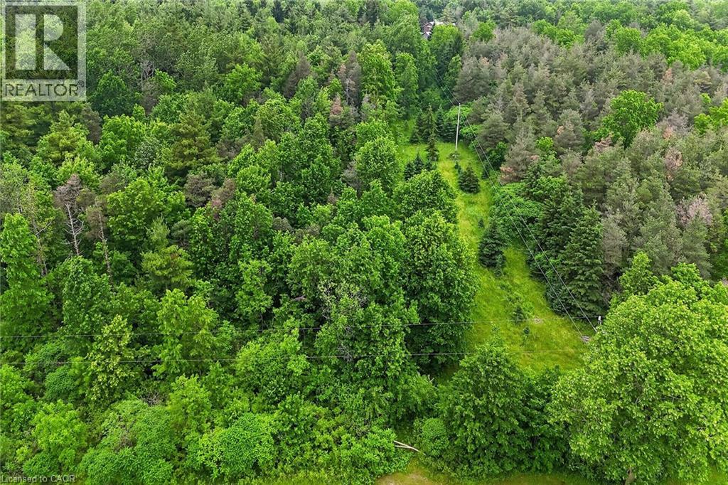 581 Townline Road W, Cayuga, Ontario  N0A 1E0 - Photo 10 - 40839374