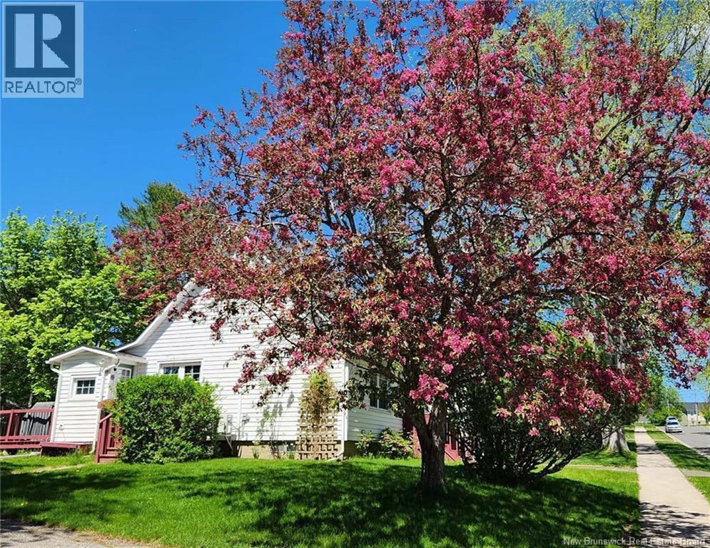 319 Forbes Street, Fredericton, New Brunswick  E3A 2Y1 - Photo 50 - NB141469