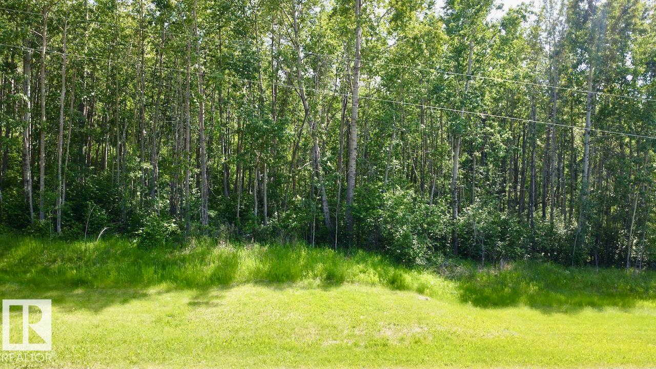 7 53420 Rge Road 60, Rural Parkland County, Alberta  T0E 2B0 - Photo 3 - E4493352
