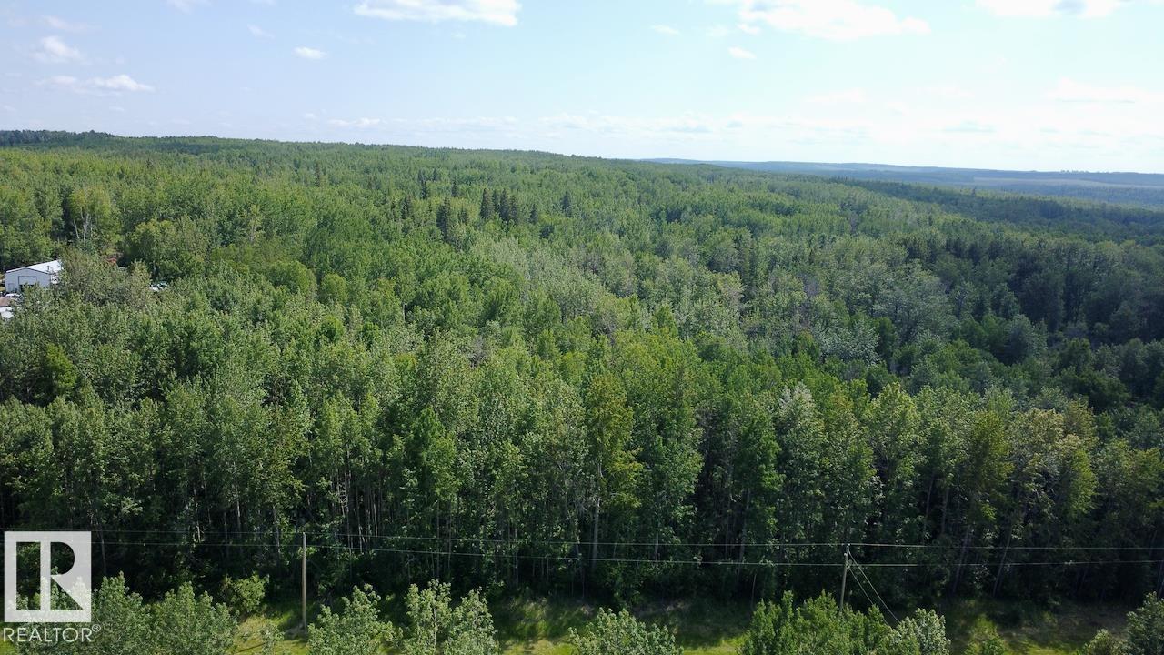 7 53420 Rge Road 60, Rural Parkland County, Alberta  T0E 2B0 - Photo 6 - E4493352