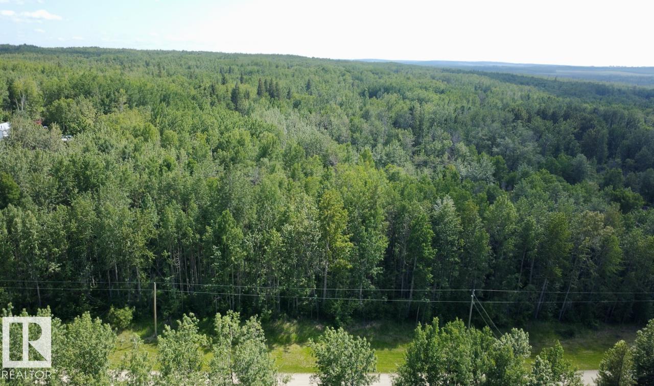 7 53420 Rge Road 60, Rural Parkland County, Alberta  T0E 2B0 - Photo 7 - E4493352