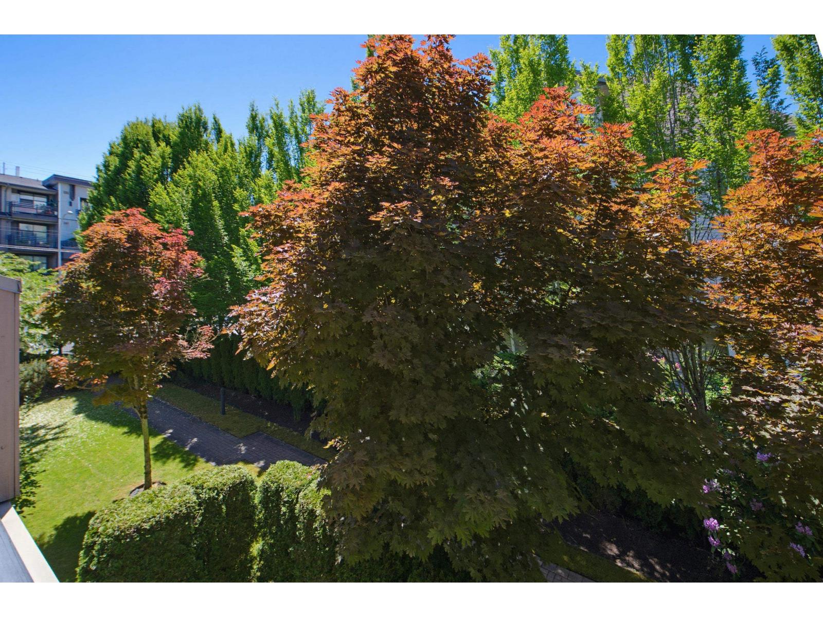Listing image 29