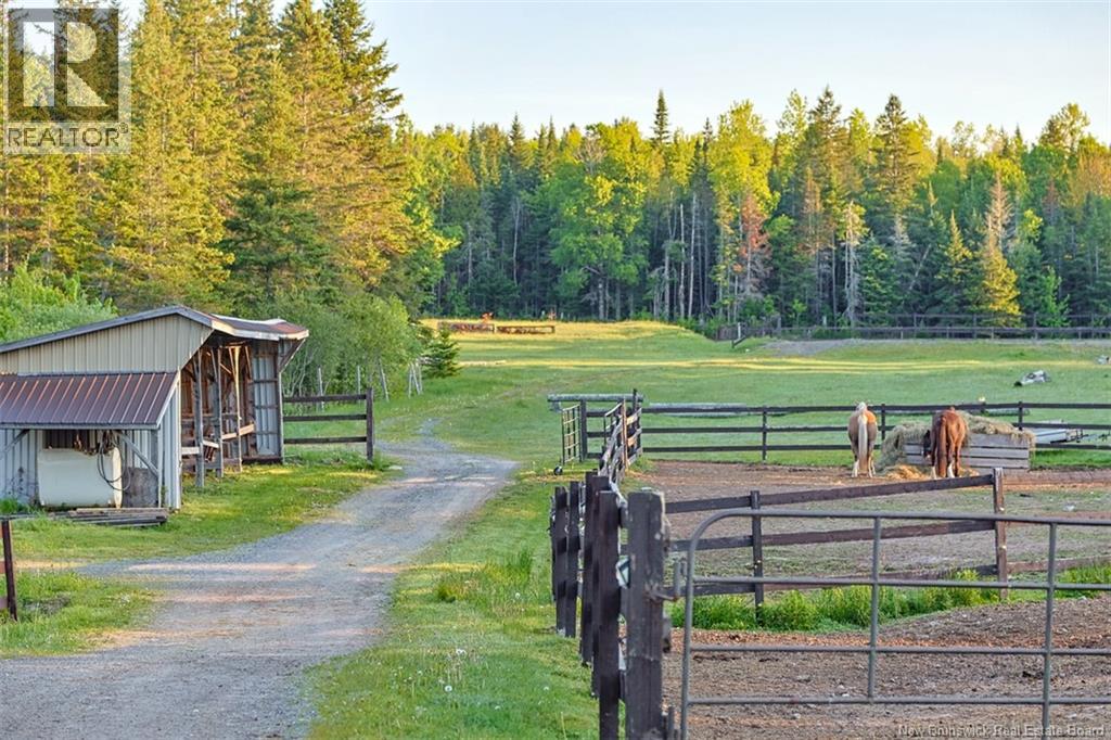 560 Lakeside Road, Smithtown, New Brunswick  E5N 3Y6 - Photo 41 - NB137401