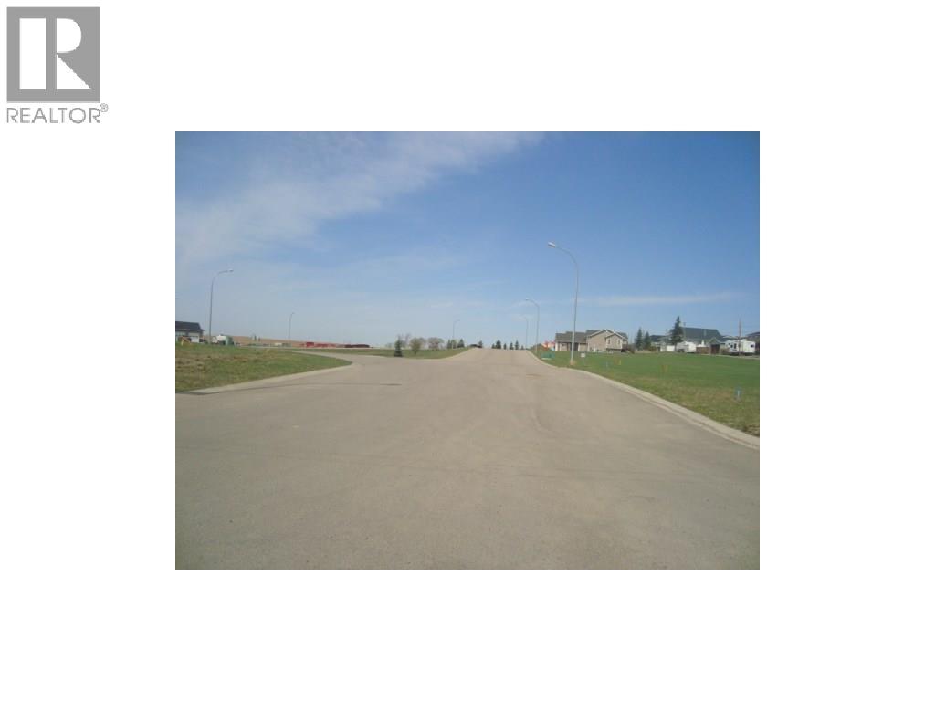 4 Evron Place, Trochu, Alberta  T0M 2C0 - Photo 4 - C4117035