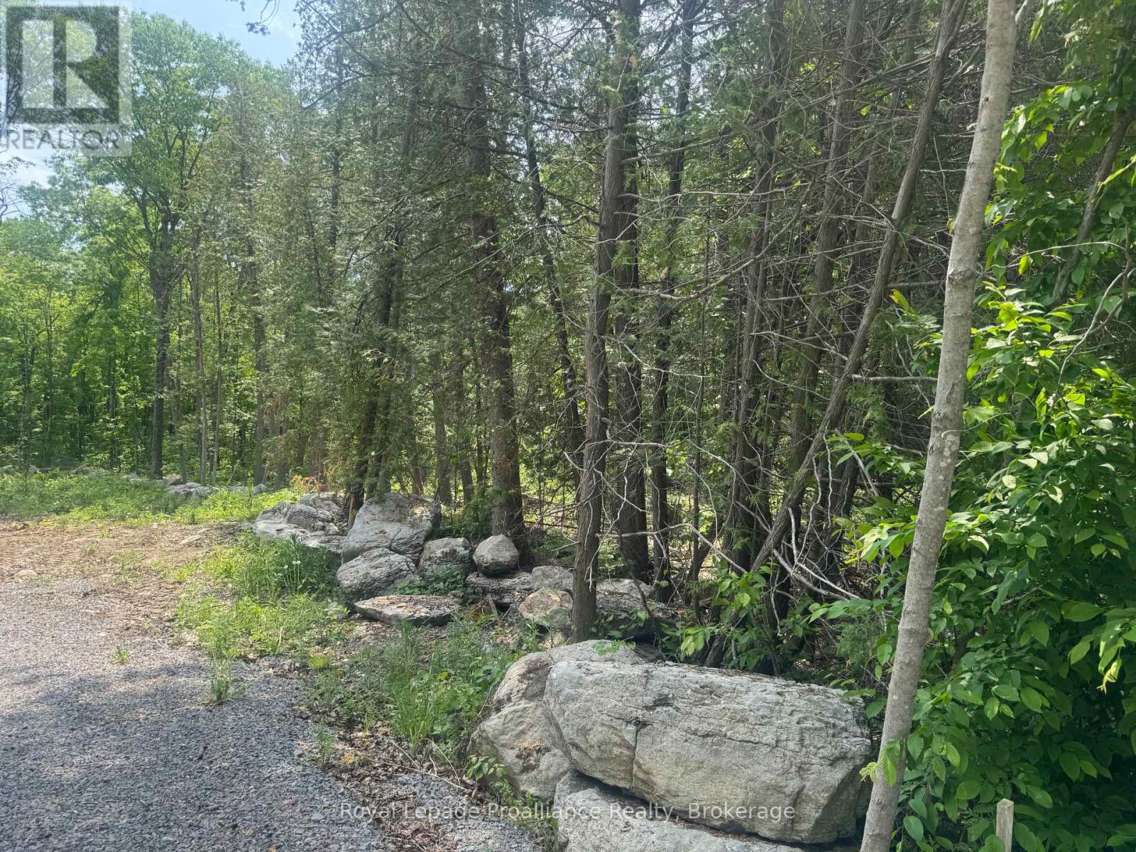 378 Station Road, Marmora And Lake, Ontario  K0K 2M0 - Photo 3 - X13119934