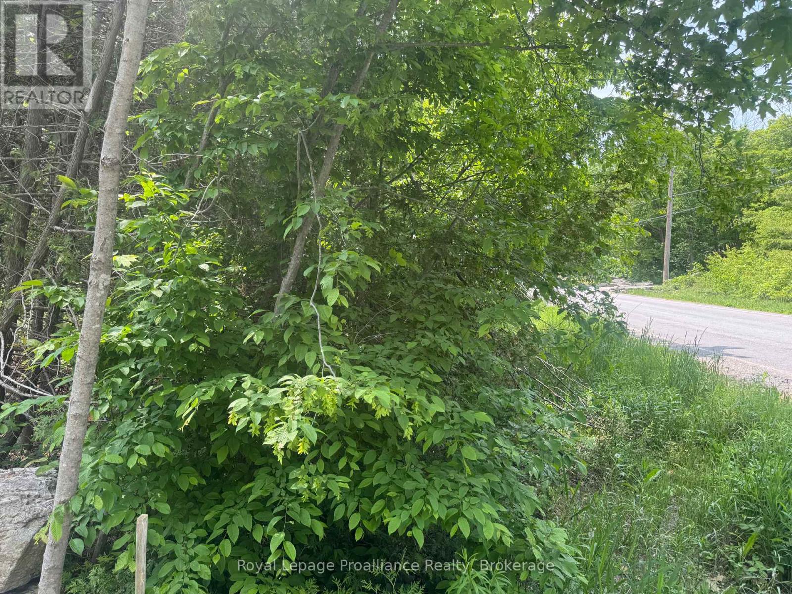 378 Station Road, Marmora And Lake, Ontario  K0K 2M0 - Photo 11 - X13119934