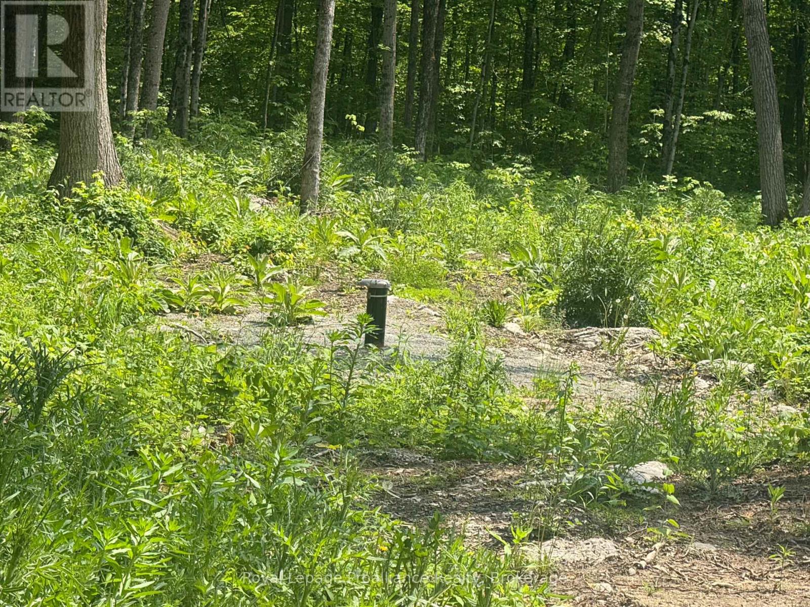 378 Station Road, Marmora And Lake, Ontario  K0K 2M0 - Photo 4 - X13119934