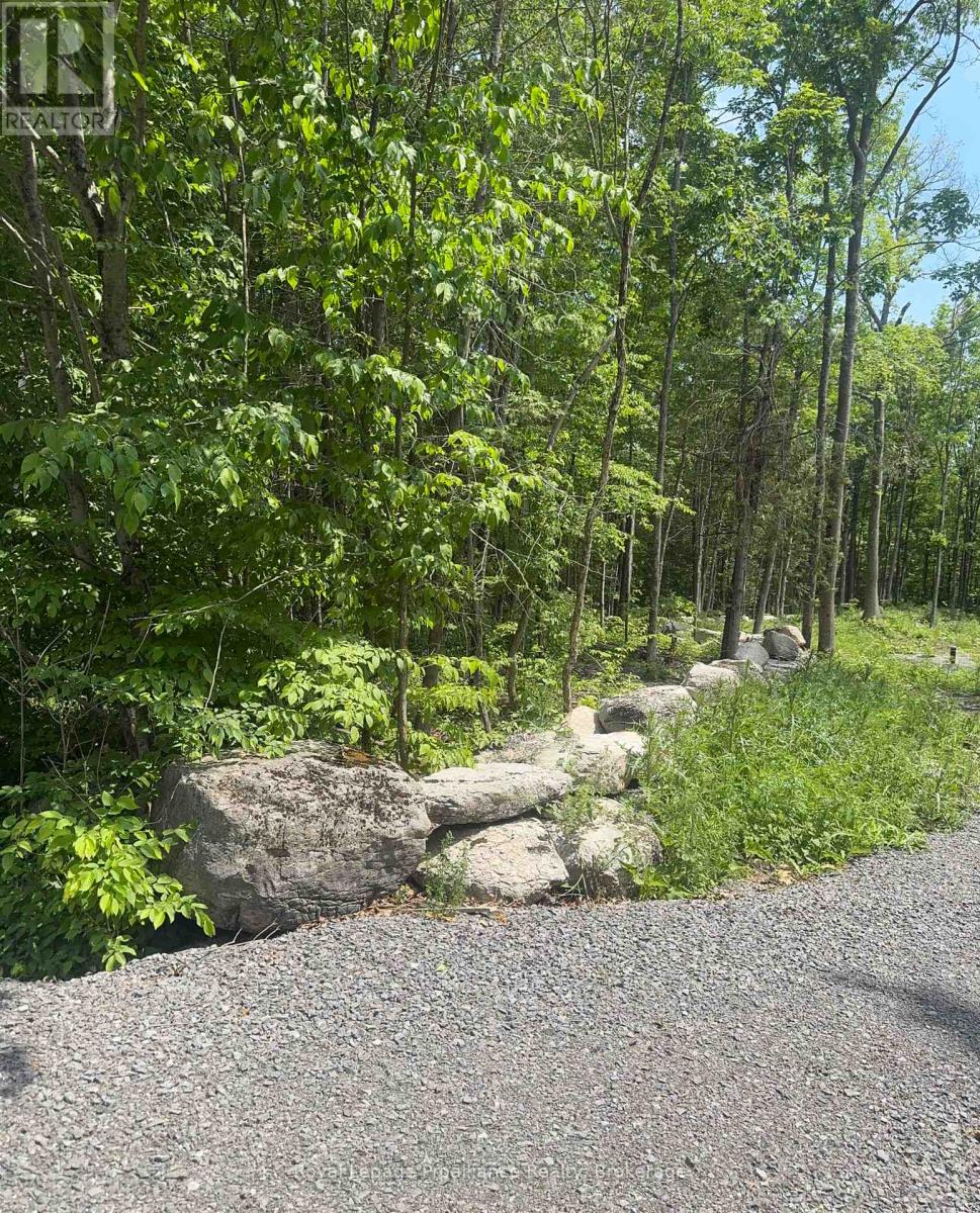 378 Station Road, Marmora And Lake, Ontario  K0K 2M0 - Photo 8 - X13119934