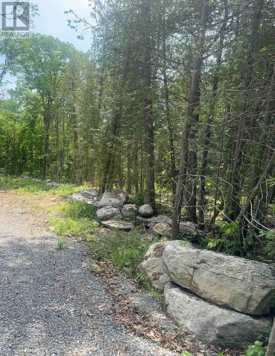 378 Station Road, Marmora And Lake, Ontario  K0K 2M0 - Photo 6 - X13119934