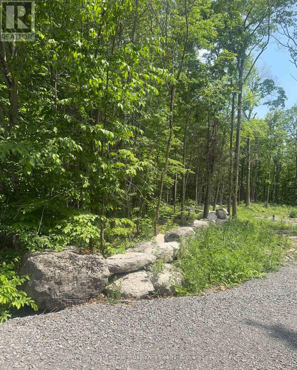 378 Station Road, Marmora And Lake, Ontario  K0K 2M0 - Photo 5 - X13119934