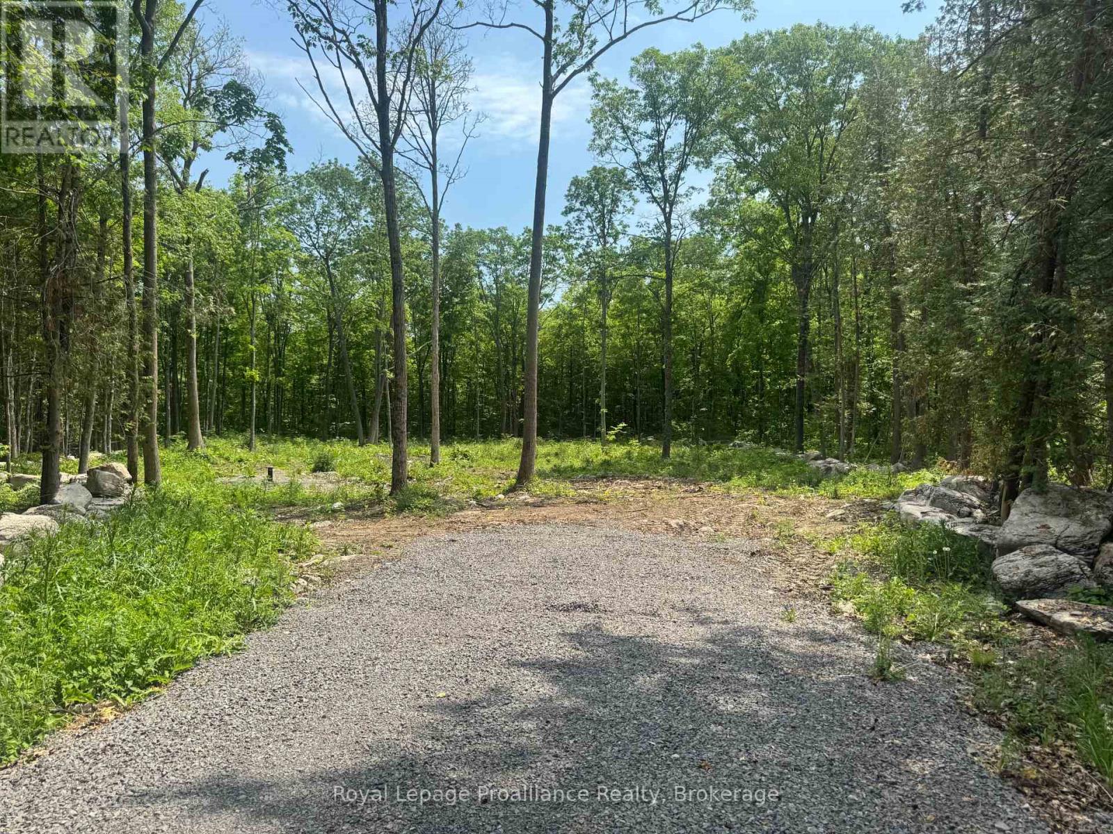 378 Station Road, Marmora And Lake, Ontario  K0K 2M0 - Photo 7 - X13119934