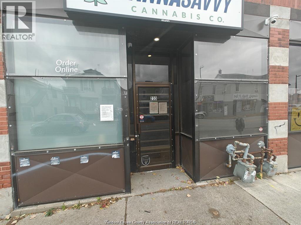 233 Wyandotte Street East, Windsor, Ontario N9A 3H5 - Photo 1 - 26013960