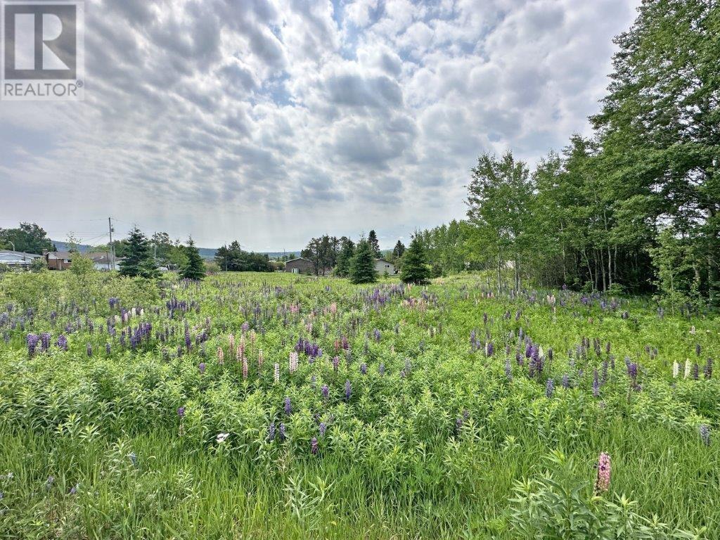 Pt Lt 13 Mckirdy Avenue, Nipigon, Ontario  P0T 2J0 - Photo 14 - TB2601434