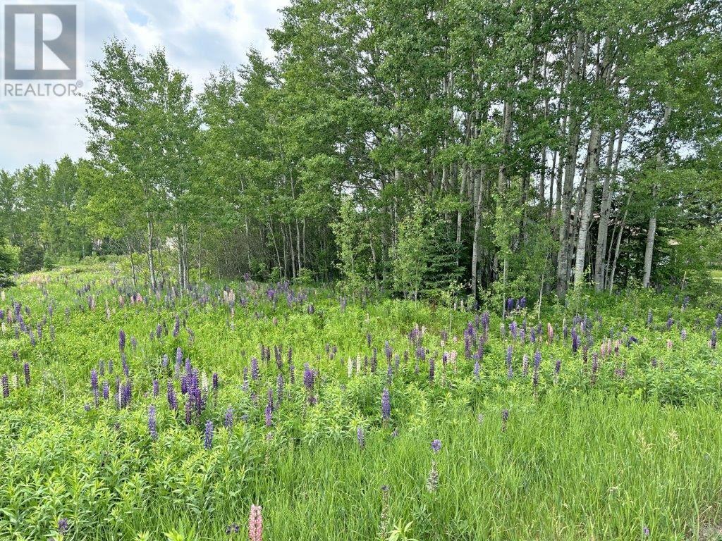 Pt Lt 13 Mckirdy Avenue, Nipigon, Ontario  P0T 2J0 - Photo 16 - TB2601434