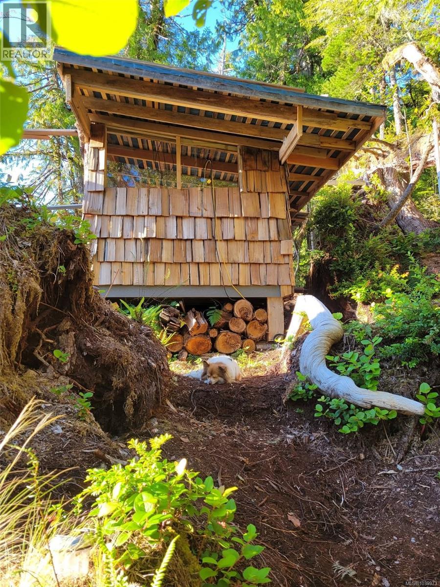 28 Hot Springs Oceanside, Tofino, British Columbia V0R 2Z0 - Photo 4 - 1039973