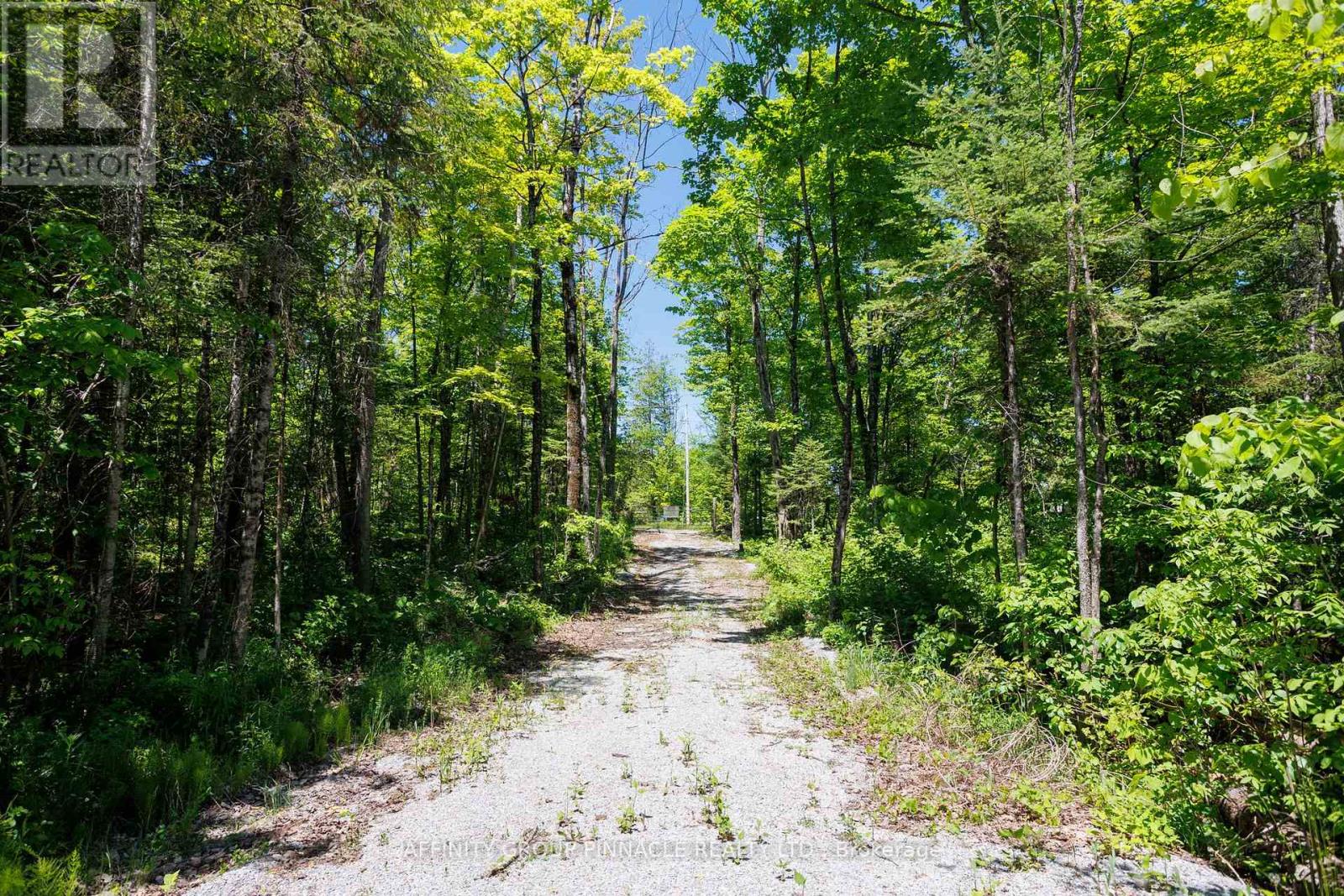 0 Pearce Road, Kawartha Lakes, Ontario  K0M 2B0 - Photo 35 - X13438626