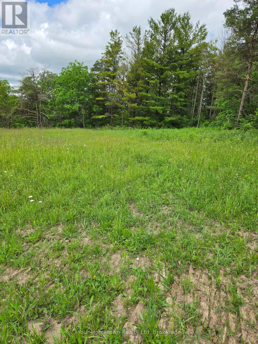 675 Guelph Street, Centre Wellington, Ontario  N1M 2V2 - Photo 3 - X13438524