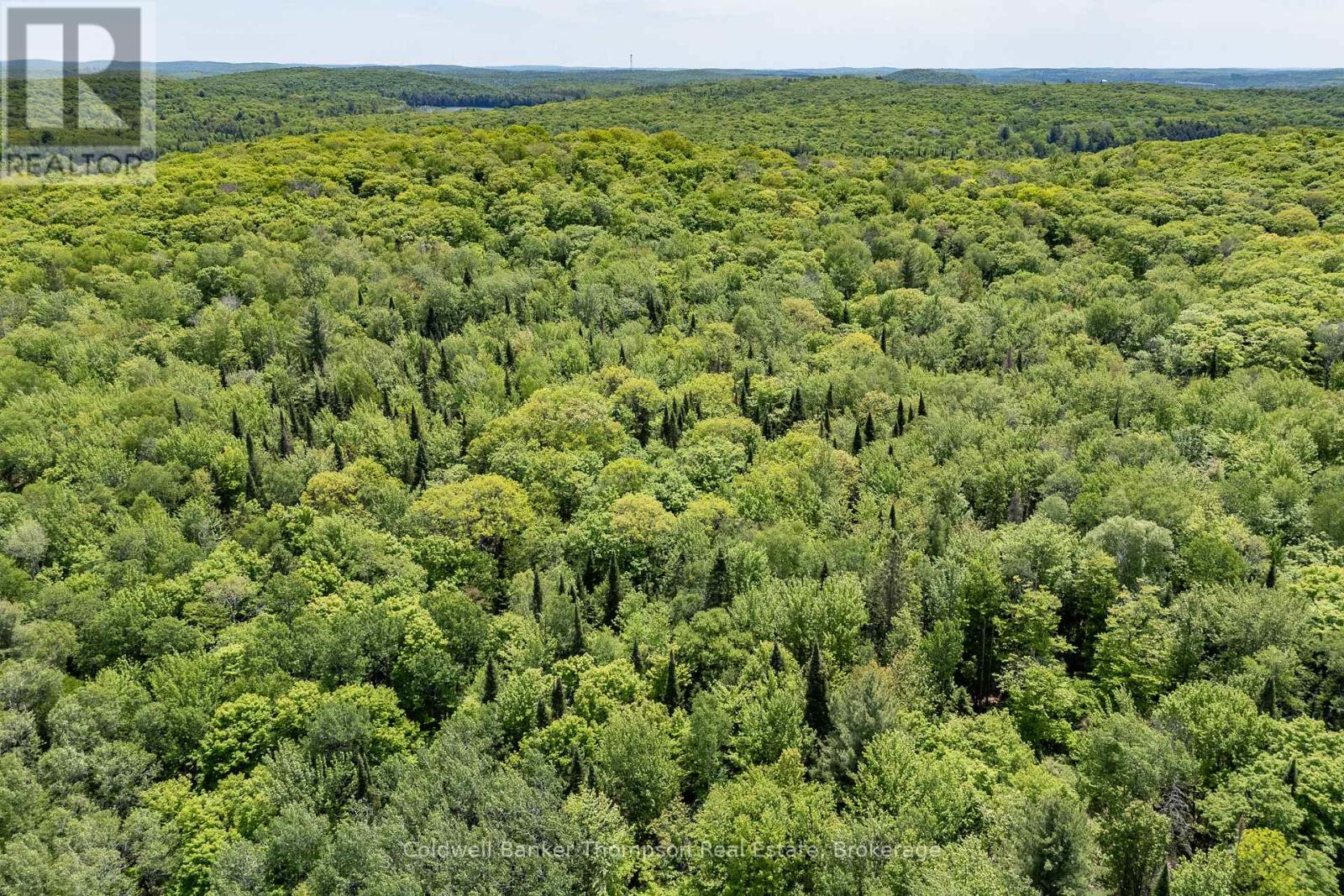 583 Three Mile Lake Road, Armour, Ontario P0A 1L0 - Photo 10 - X13438760