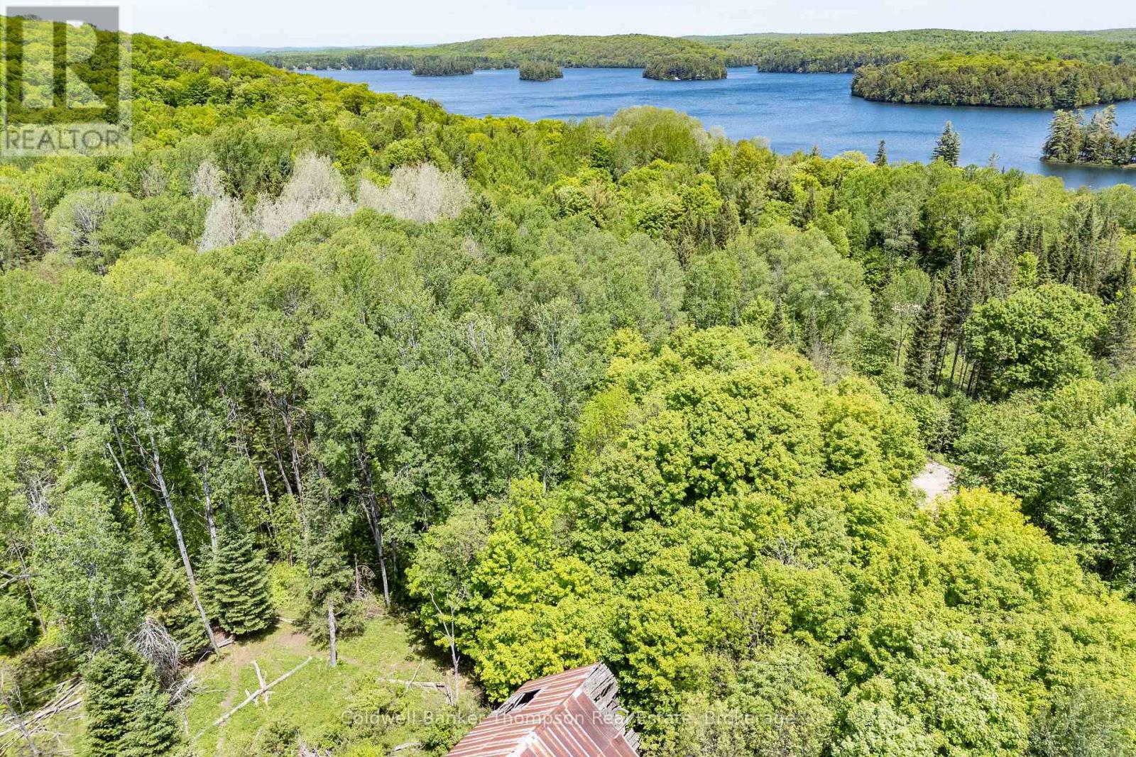 583 Three Mile Lake Road, Armour, Ontario P0A 1L0 - Photo 8 - X13438760