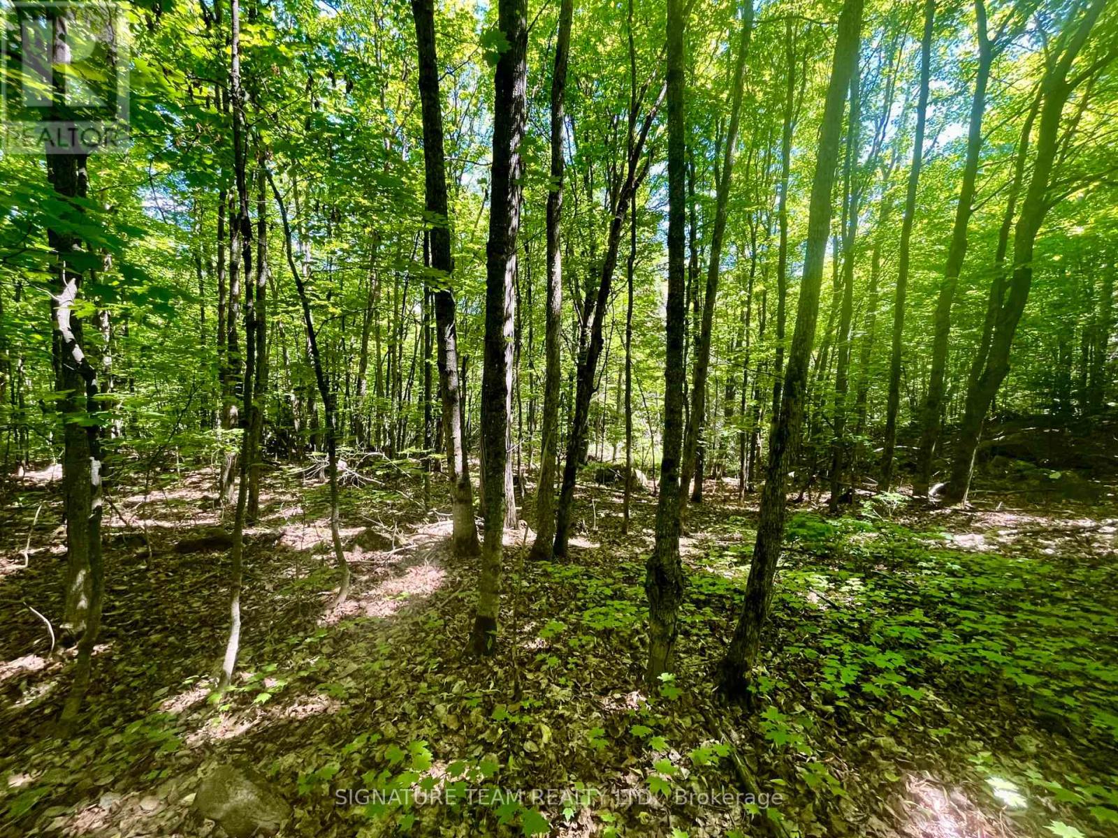 Pt Lt's 5 & 6 Foymount Road, Bonnechere Valley, Ontario  K0J 1W0 - Photo 10 - X13438544
